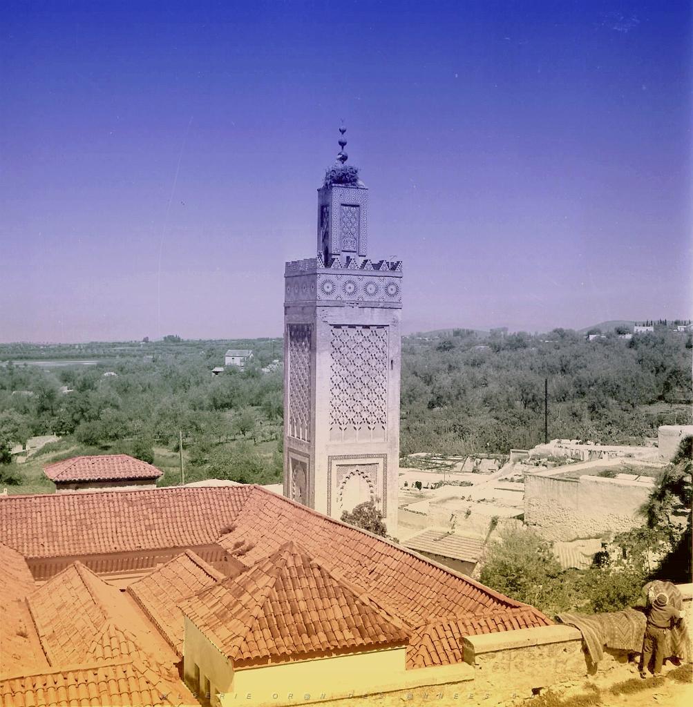 Tlemcen 506- Mosquee Sidi-Halaoui.jpg